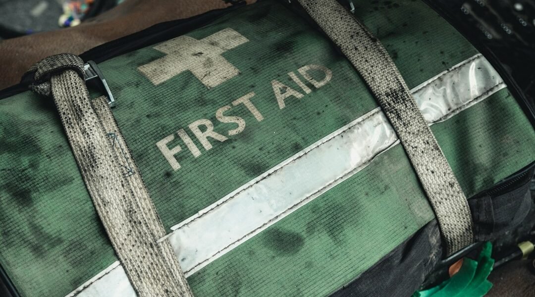 Elementos básicos para preparar un kit de emergencia para mascotas