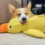 Juguete Interactivo para Perros – Pato Mordedor y Antiaburrimiento - imagen 24