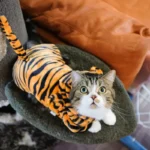 Ropa para Perro y Gato de Fleece – Abrigo Suave para Mascotas - imagen 19