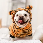 Ropa para Perro y Gato de Fleece – Abrigo Suave para Mascotas - imagen 20