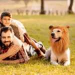 Disfraz de León para Perro – Melena para Perros Medianos y Grandes - imagen 5