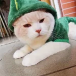 Ropa para Perro y Gato de Fleece – Abrigo Suave para Mascotas - imagen 23