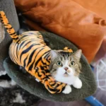 Ropa para Perro y Gato de Fleece – Abrigo Suave para Mascotas - imagen 2
