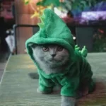 Ropa para Perro y Gato de Fleece – Abrigo Suave para Mascotas - imagen 16