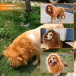 Disfraz de León para Perro – Melena para Perros Medianos y Grandes - imagen 8