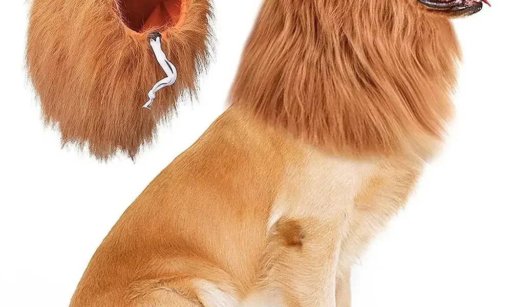 Disfraz de león para perro en diferentes tallas