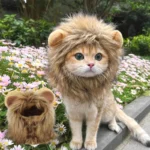 Sombrero para Gato y Gatito – Accesorio Suave para Fotos - imagen 1