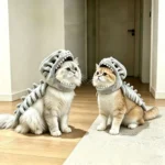 Disfraz de Dinosaurio para Gatos y Perros – Traje Suave con Diseño de Esqueleto - imagen 5