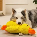 Juguete Interactivo para Perros – Pato Mordedor y Antiaburrimiento - imagen 19