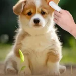 Toallitas para limpiar los oídos de perros y gatos - imagen 9