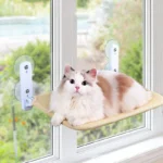 Hamaca para Gatos de Ventana con Ventosas - imagen 4