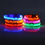Nylon LED Night Safety Flashing Glow In The Dark Dog Leash Dogs Luminous Fluorescent Pet Dog Collar - imagen 3