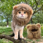 Sombrero para Gato y Gatito – Accesorio Suave para Fotos - imagen 7