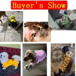 Ropa para Perro y Gato de Fleece – Abrigo Suave para Mascotas - imagen 13