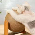 Rascador de Madera y Sisal para Gatos con Pelota Interactiva - imagen 5