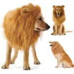 Disfraz de León para Perro – Melena para Perros Medianos y Grandes - imagen 2