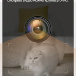 Alimentador Automático Inteligente para Gatos 4L – WiFi y Control Remoto - imagen 20