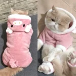 Ropa para Perro y Gato de Fleece – Abrigo Suave para Mascotas - imagen 24
