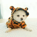 Ropa para Perro y Gato de Fleece – Abrigo Suave para Mascotas - imagen 22
